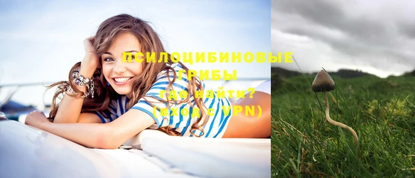 мескалин Карпинск