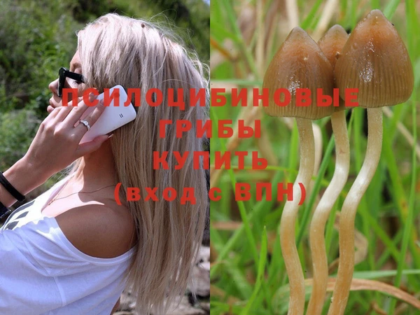 прущие грибы Киреевск