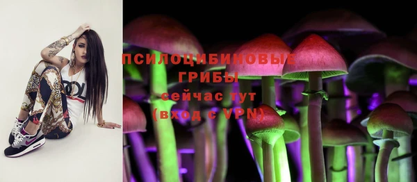 spice Карталы