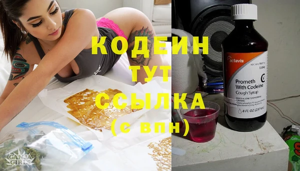 прущие грибы Киреевск