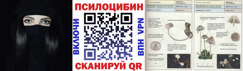 Купить закладки  Лангепас  Псилоцибиновые грибы мухоморы 